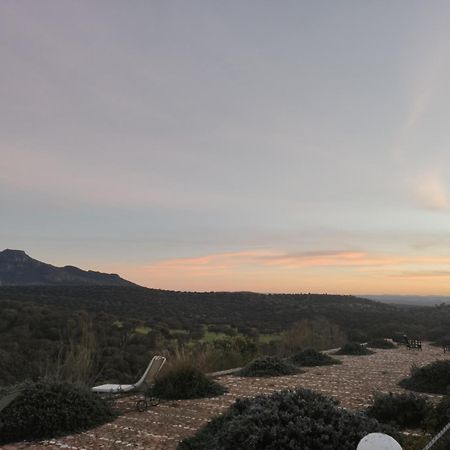 Appartamento Dehesa El Aguila Puebla de la Reina Esterno foto